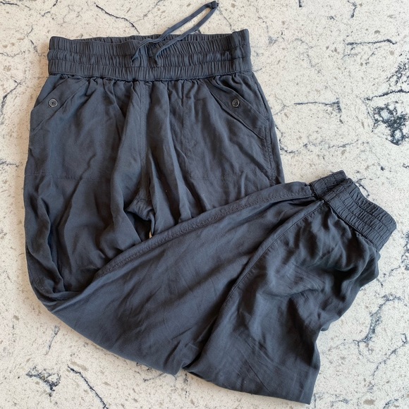 Aritzia Pants - Aritzia joggers